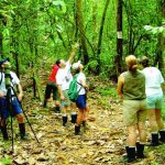 Sustainable Travel Practices for Eco-Conscious Backpackers